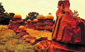 nagaland-nature-newsmbr